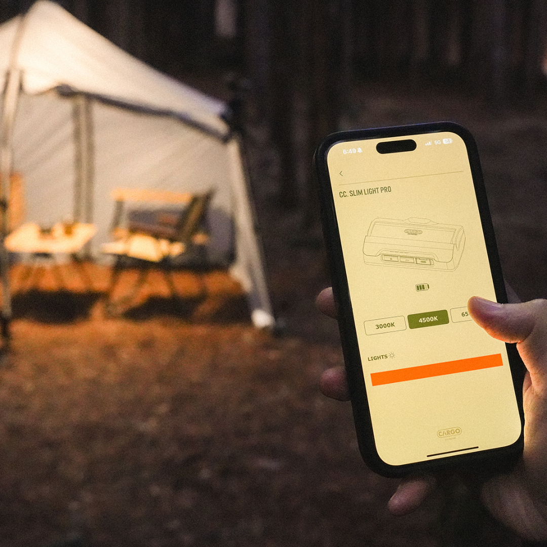 Cargo Container Slim Light Pro