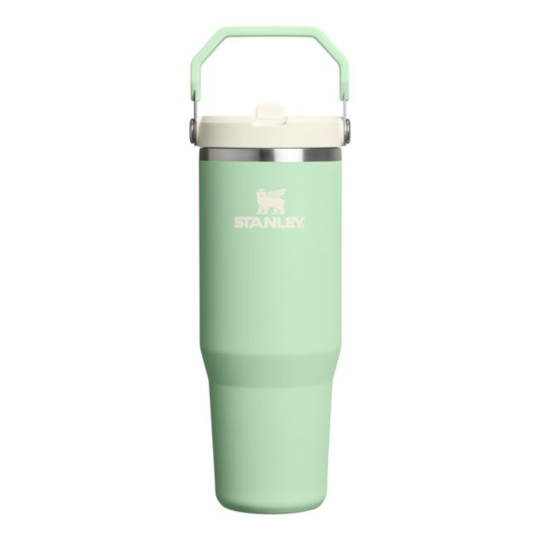 Stanley IceFlow Flip Straw 2.0 Tumbler - 30oz
