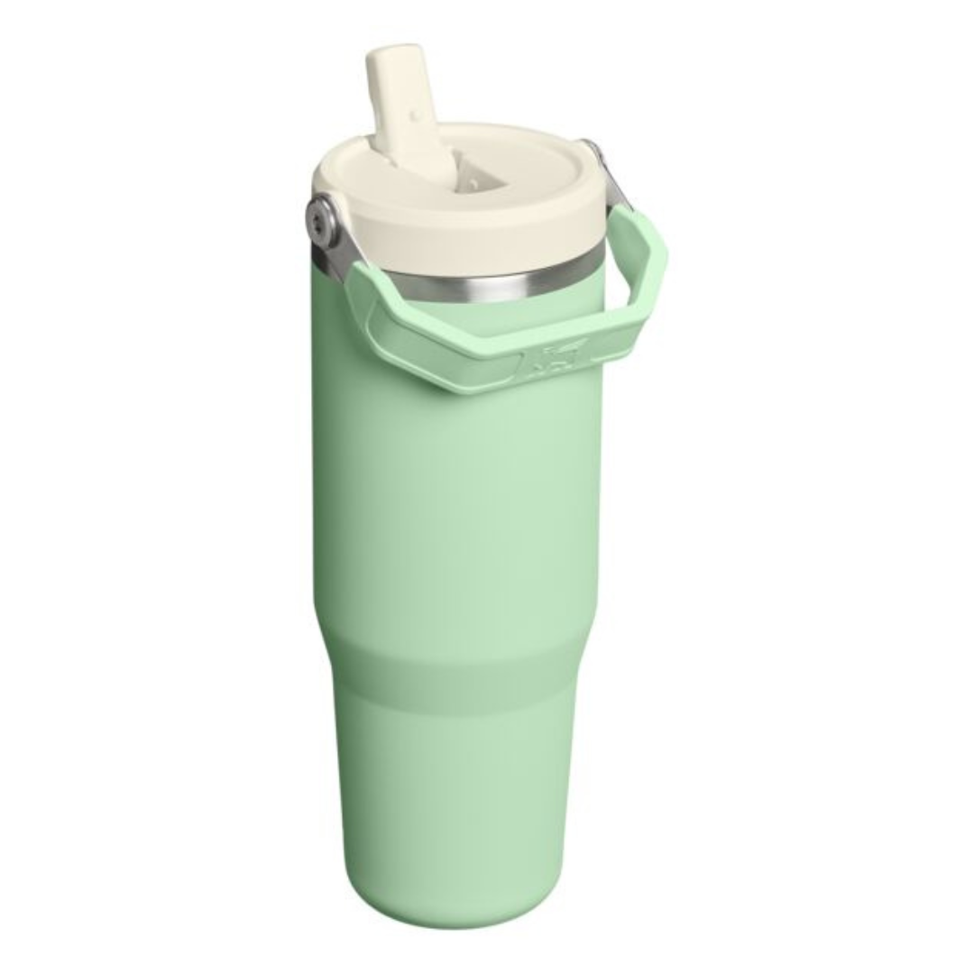 Stanley IceFlow Flip Straw 2.0 Tumbler - 30oz