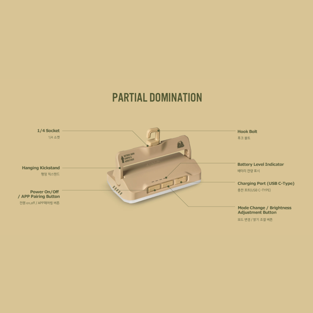 Cargo Container Slim Light Pro