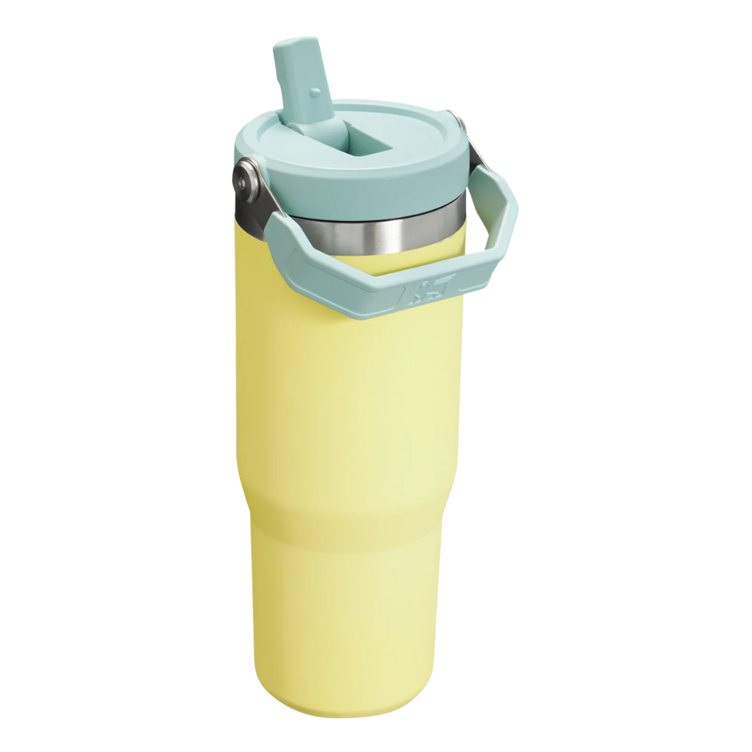 Stanley IceFlow Flip Straw 2.0 Tumbler - 30oz