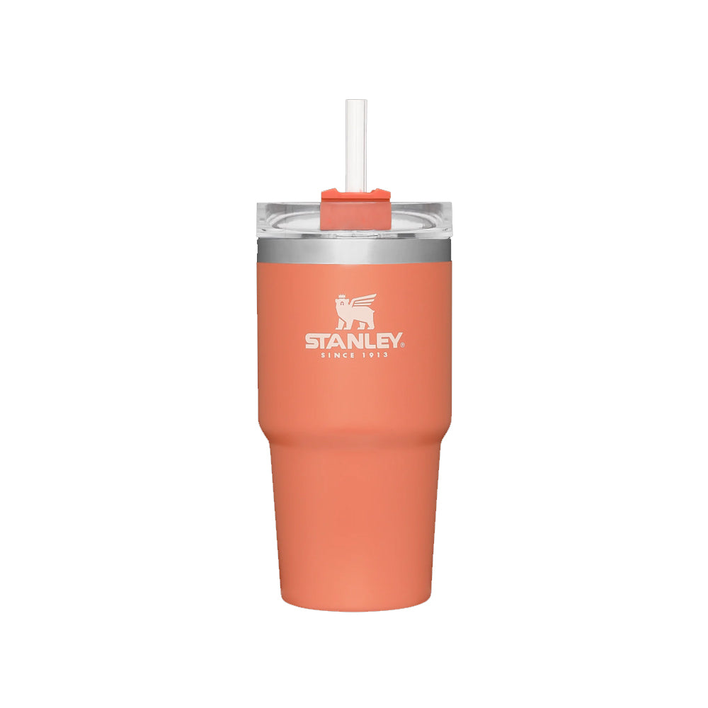 Stanley Adventure Quencher Travel Tumbler for Kids 8 India