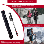 Naturehike Hoar Trek EXT2 Ultra Light Carbon Fiber Outer Lock Trekking Pole