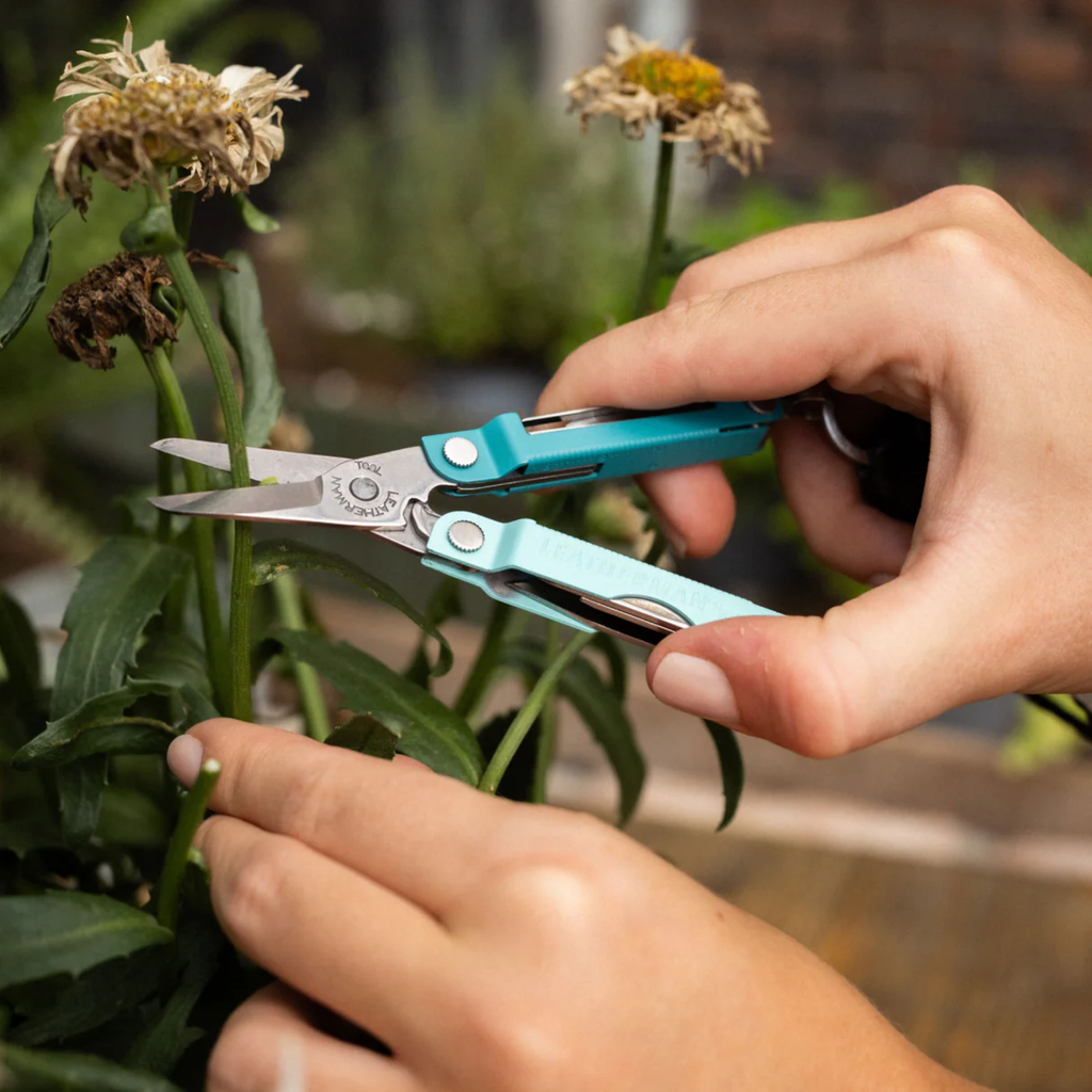 Leatherman Micra Multitool - Stainless Steel