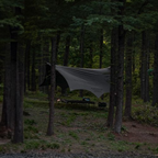 KZM Wild Field Octagon Tarp