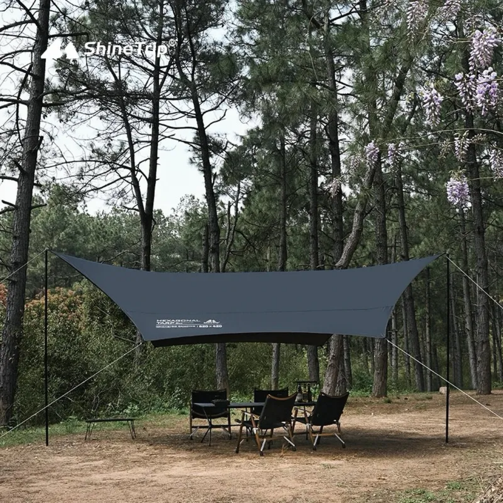 ShineTrip Hexagonal Vinyl Skylight - Black