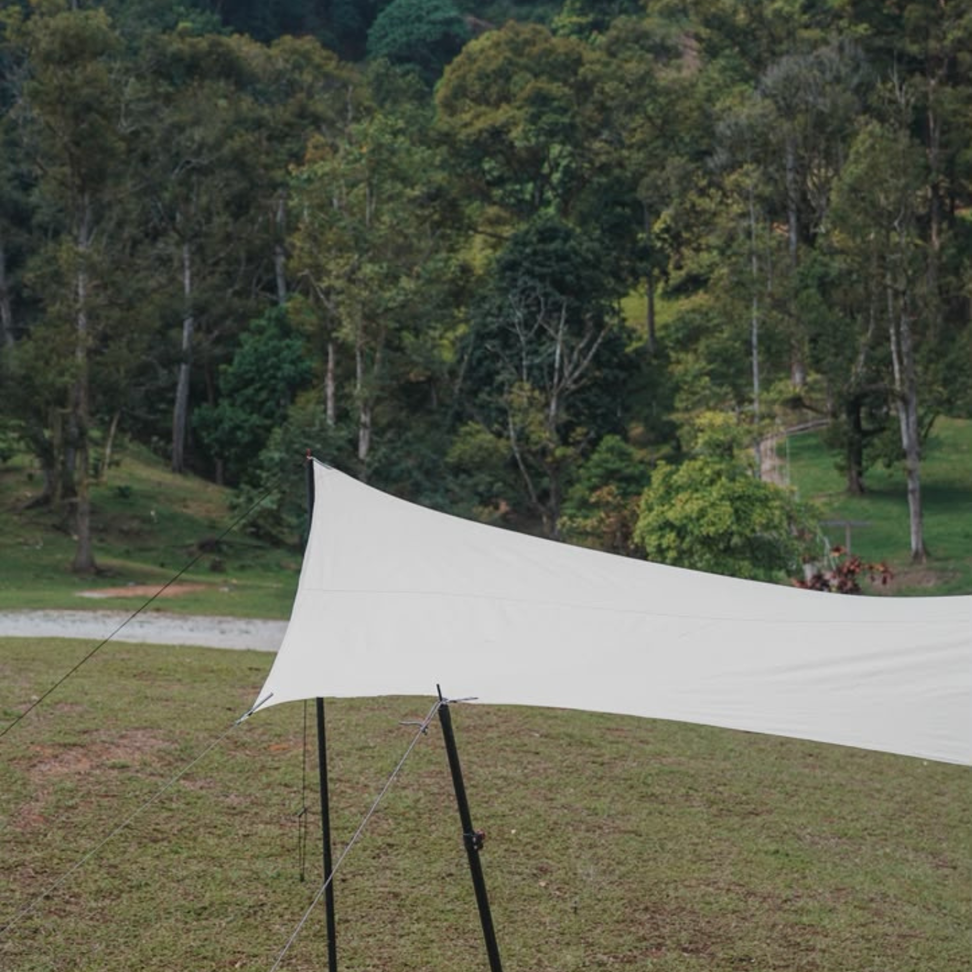 Stoic Octagon TC Tarp - Tan