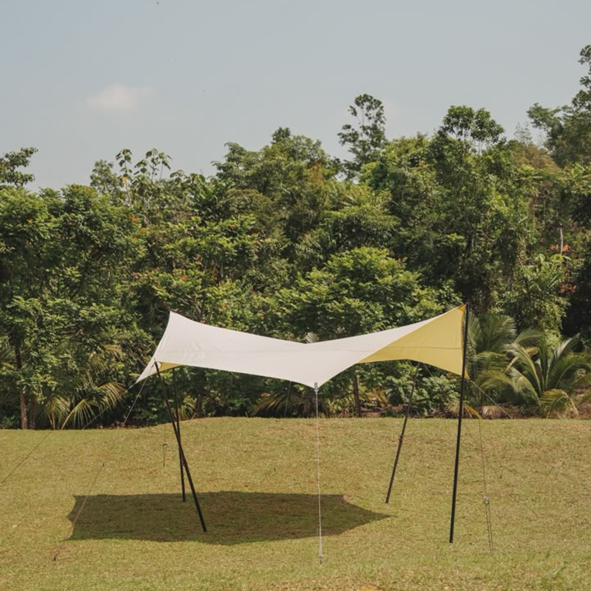 Stoic Octagon TC Tarp - Tan