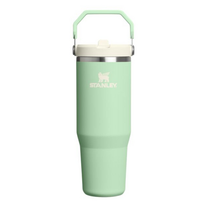 Stanley IceFlow Flip Straw 2.0 Tumbler - 30oz