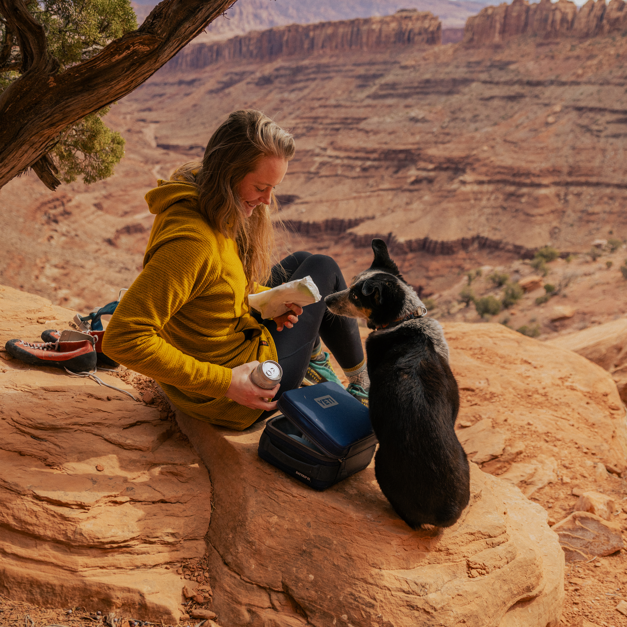 YETI Daytrip® 5L Insulation Lunch Box