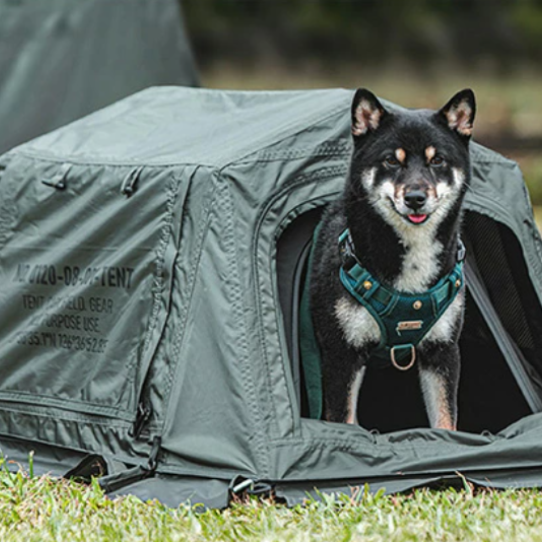 KZM Wild Field Pet House