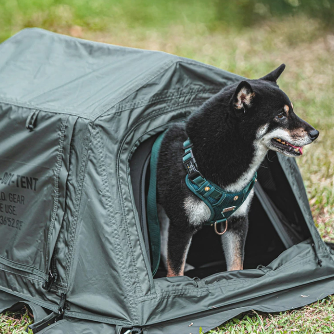 KZM Wild Field Pet House