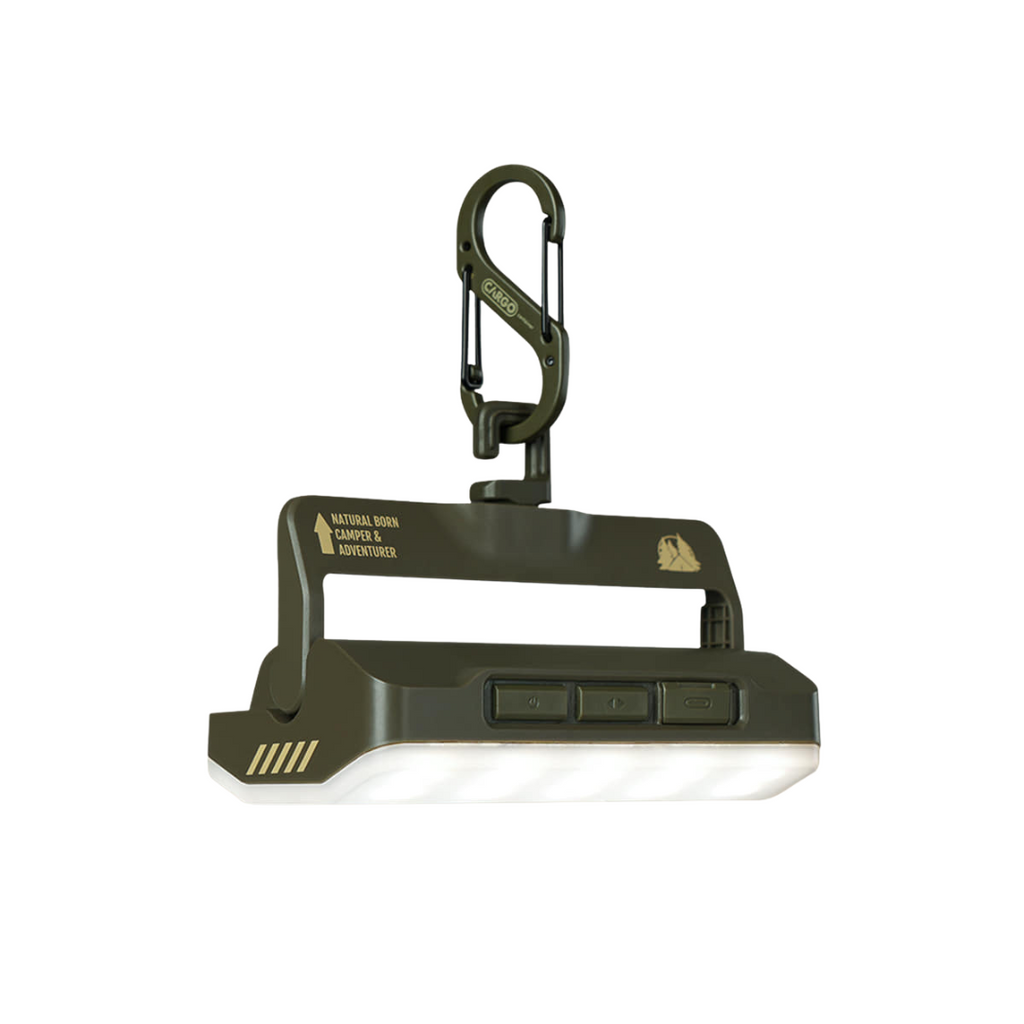 Cargo Container Slim Light Pro