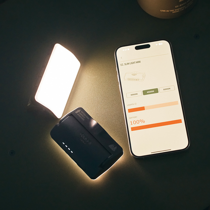 Cargo Container Slim Light Mini