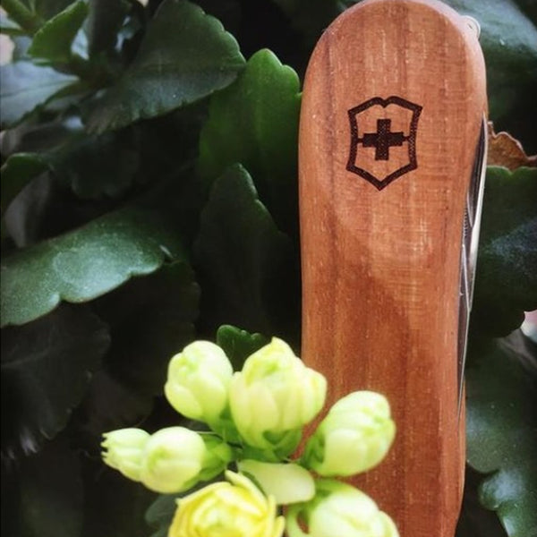 Victorinox Nail Clip 580 - Walnut
