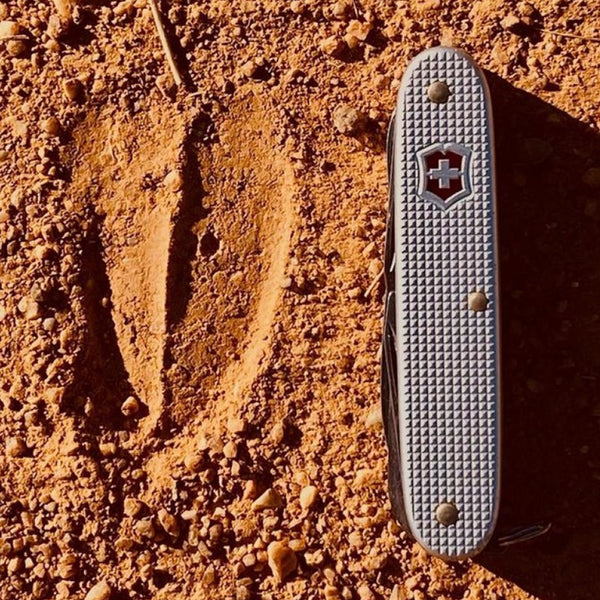 Victorinox Pioneer X Alox - Silver