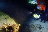 Fenix SD11 XM-L2 U2 Diving Photographic Light