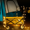 Hewolf Foldable Camping Trolley