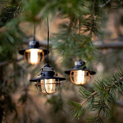 Barebones Edison String Lights Bronze