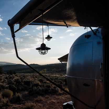 Barebones Edison String Lights Bronze