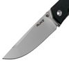 Ruike P661-B Knife