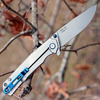 Ruike P801-SF Folding Knife