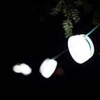 BioLite SiteLight String