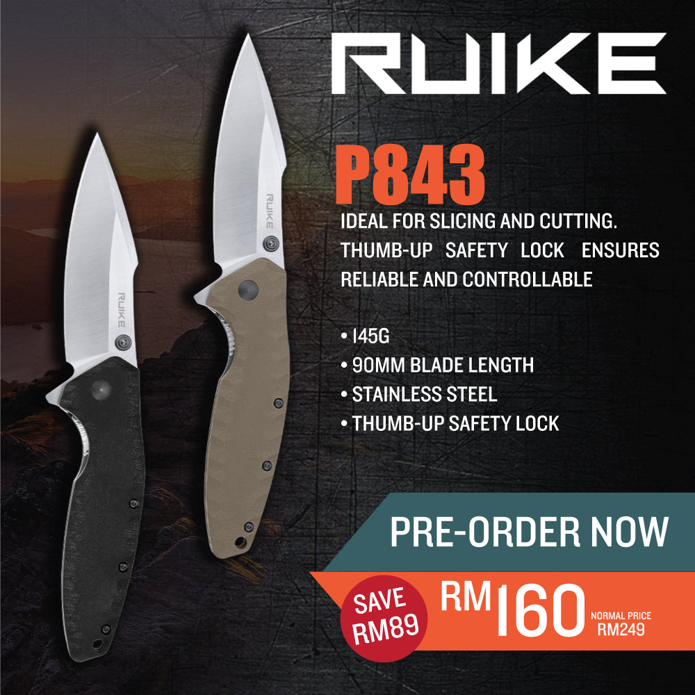 Ruike P843